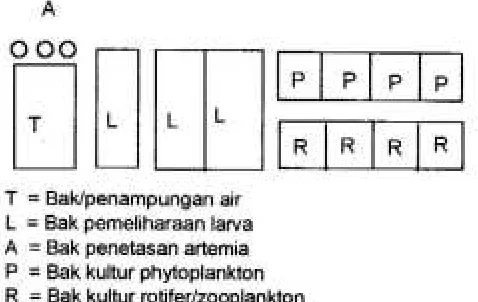 Gambar 3.  Disain HSRT