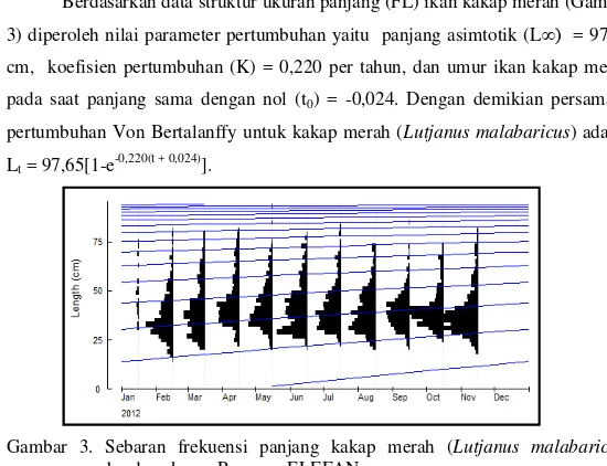 Gambar 2. Panjang rata-rata tertangkap ikan kakap merah (Lutjanus  malabaricus) di Brondong (Laut Jawa)