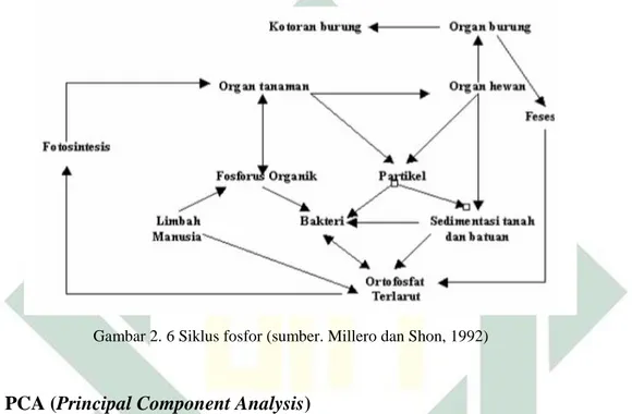 Gambar 2. 6 Siklus fosfor (sumber. Millero dan Shon, 1992) 