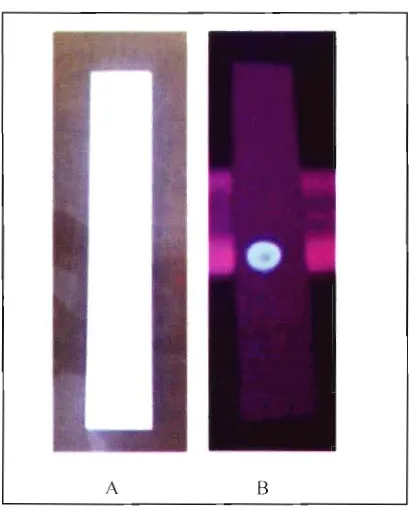 Gambar 2. Kromatogram KLT Hasil Pe misahan pada Fraksi metanol-air 