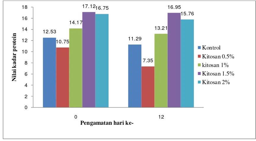 Gambar 3. .  Kadar protein kamaboko dengan coating kitosan selama penyimpanan