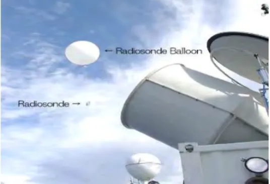 Gambar 1. Radiosonde 