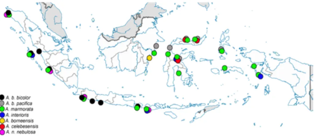 Gambar 4.Peta distribusi ikan sidat di perairan Indonesia. Figure 4. Map showing eel distribution in Indonesian waters