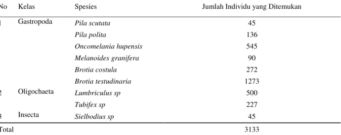 Tabel 1 Jumlah makrozoobentos yang ditemukan 