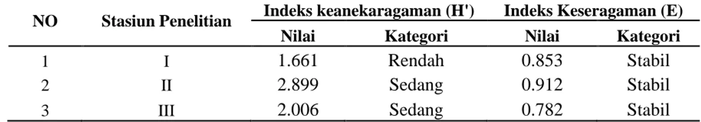 Tabel 3. Nilai Indeks Keanekaragaman Jenis (H’) dan Indeks Keseragaman (E) setiap Stasiun  Penelitian di Padang Lamun Perairan Balangdatu Pulau Tanakeke Kabupaten 