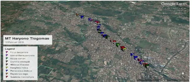 Gambar 4. Peta persebaran burung di sepanjang  jalan MT Haryono Tlogomas (29-30 januari 2018) 