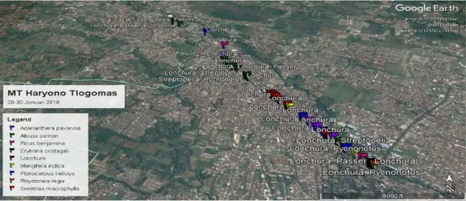 Gambar 5. Peta persebaran burung di sepanjang jalan MT Hayono Tlogomas (18 -02- 2018) 