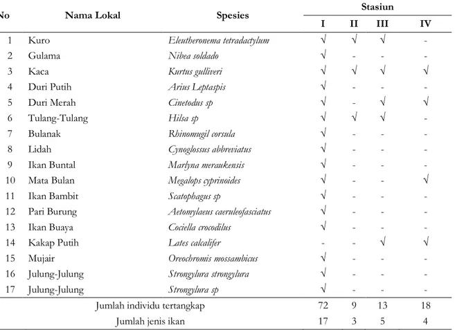 Tabel 1. Komposisi jenis ikan yang ditemukan pada Sungai Maro 