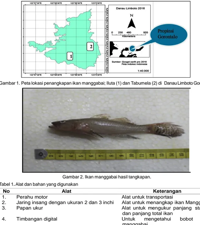 Gambar 1. Peta lokasi penangkapan ikan manggabai; Iluta (1) dan Tabumela (2) di Danau Limboto Gorontalo.