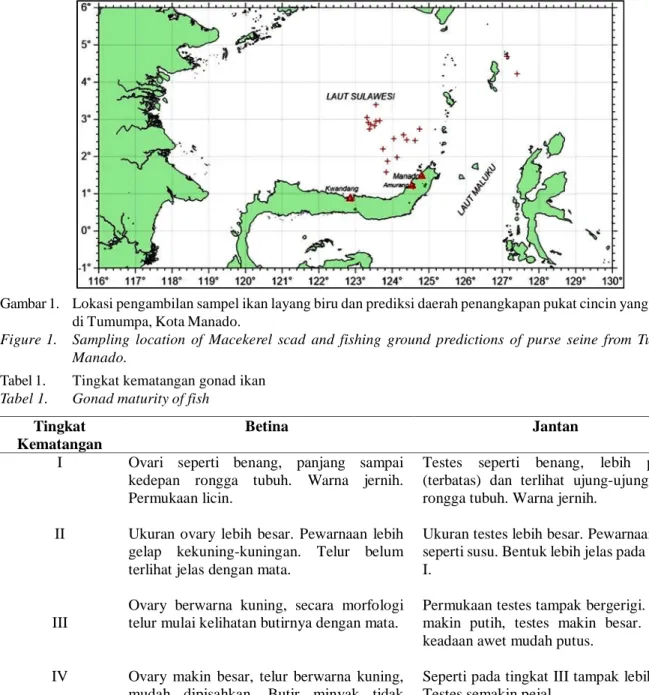 Figure 1. Sampling location of Macekerel scad and fishing ground predictions of purse seine from Tumumpa, Manado.