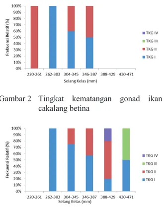 Gambar  3  Tingkat kematangan gonad ikan  cakalang jantan