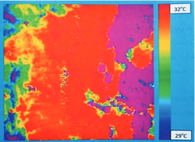 Gambar 2. Peta hasil algoritma untuk suhu  permukaan laut di perairan Kota Ternate.