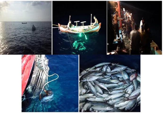 Gambar 4. Aktifitas penangkapan kapal pukat cincin di perairan Selat Malaka oleh nelayan Kuala Langsa.
