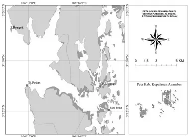 Gambar 1. Peta lokasi pengamatan ikan Napoleon dan pengukuran kecepatan dan arah arus laut di sekitar P.Rengek, Tj.Pedas, P.Teluk Pau dan P.Batu Belah, Kabupaten Kepulauan Anambas.