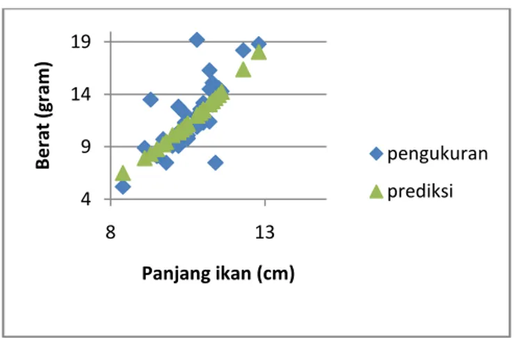 Gambar 2 Perbandingan hubungan panjang berat hasil observasi dan prediksi ikan kedawah (Rasbora sp) di Krueng Simpoe, Bireun
