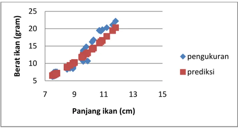 Gambar 4 Perbandingan hubungan panjang berat hasil observasi dan prediksi ikan gro (Puntius brevis) di Krueng Simpoe, Bireun