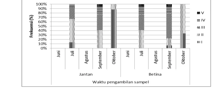 Gambar 2.    Frekuensi  (%) ikan layang deles (Decapterus macrosoma Bleeker, 1841) jantan dan betina yang diamati berdasarkan tingkat kematangan gonad pada setiap waktu  pengambilan sampel di perairan Barru selama penelitian