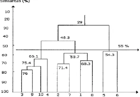 Gambar 5 Dendrogram similaritas Bray-Curtis 