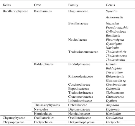 Tabel 1. Klasifikasi Fitoplankton yang ditemukan di Perairan Tanjung Balai  Kota 