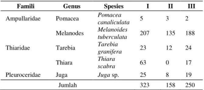 Tabel  1.  Jumlah  spesies  Gastropoda  tiap  stasiun   penelitian 