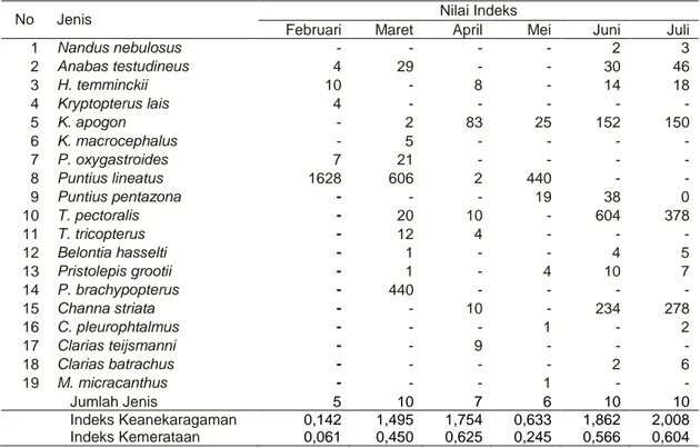 Tabel 3.   Nilai  Indeks  Keanekaragaman  (H ’ )  dan  Indeks  Kemerataan  (E)  ikan  yang  terdapat  di  Lebak  Jungkal 