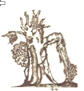 Gambar 1. Pohon Pencekik (Strangler tree) 