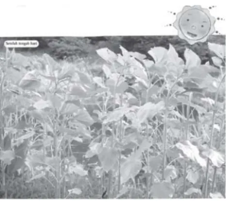 Gambar 9.1 Fototropisme positif merupakan gerak tumbuhan menuju ke arah datangnya cahaya