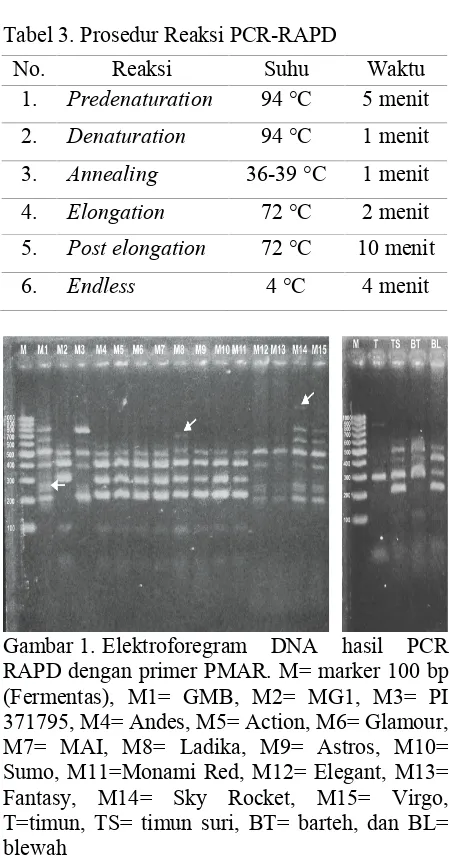 Tabel 3. Prosedur Reaksi PCR-RAPD