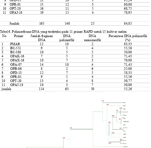 Tabel 6. Polimorfosme DNA yang terdeteksi pada 11 primer RAPD untuk 15 kultivar melon