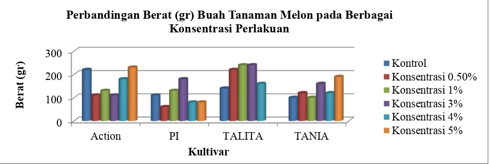 Gambar 1. Grafik perbandingan berat buah melon TANIA dan TALITA