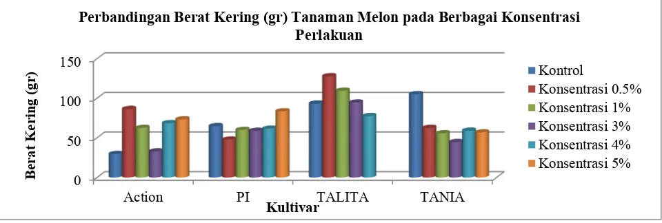 Gambar 5. Grafik perbandingan berat kering tanaman melon TANIA dan TALITA