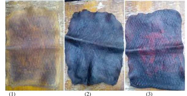 Gambar  2. Lembaran  karet  yang  digumpalkan  dengan  asap  cair  berbahan  baku  tangkai kelapa  sawit (1), cangkang kelapa sawit (2), dan tempurung kelapa (3)