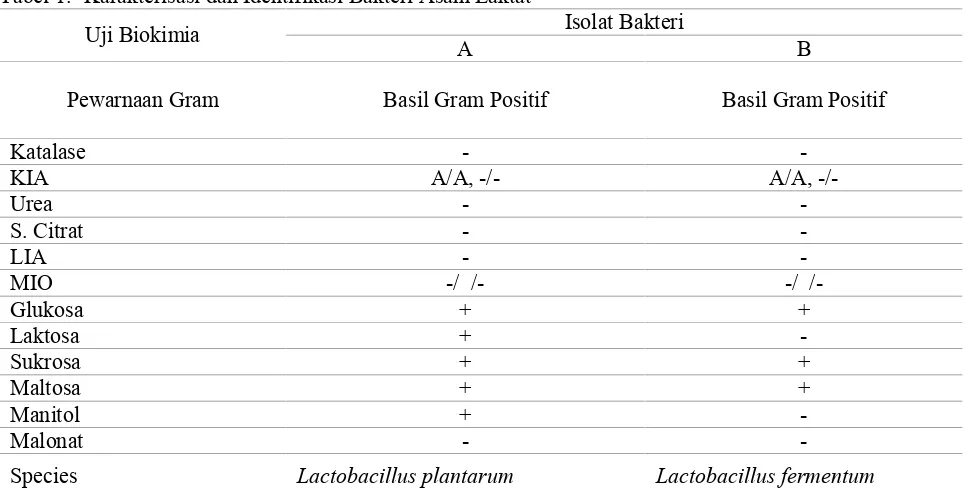 Tabel 1. Karakterisasi dan Identifikasi Bakteri Asam Laktat