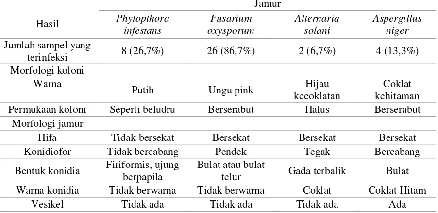 Tabel 1. Hasil identifikasi jamur pada media SDA 