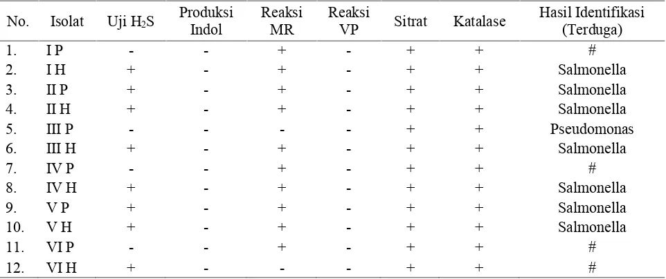 Tabel 3. Hasil pengujian biokimia isolat bakteri pada setiap stasiun di Situ Gintung