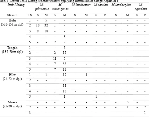Tabel 1. Daftar Jenis Udang Macrobrachium spp. yang ditemukan di Sungai Opak DIY