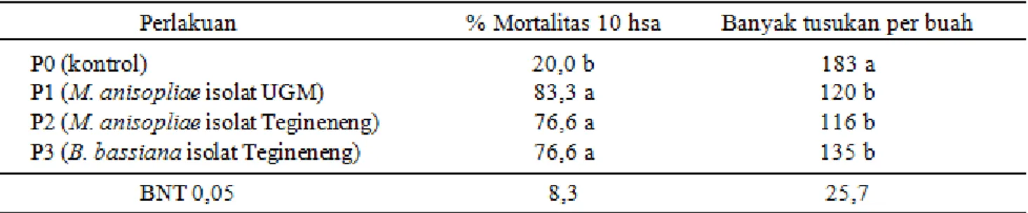 Tabel  3. Persentase  mortalitas dan rerata jumlah  tusukan Helopeltis spp. setelah  aplikasi jamur M