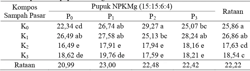 Tabel 2. Rataan  tinggi bibit (cm) umur 12 MST pada perlakuan kompos sampah pasar dan pupuk NPKMg
