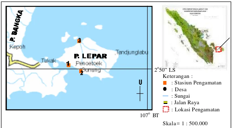 Gambar 2. Plot pengambilan contoh gastropoda tiap stasiun pengamatan 