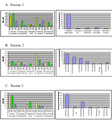 Gambar 4. Grafik Rata-rata INP Lamun dan Kepadatan Gastropoda Per Stasiun 