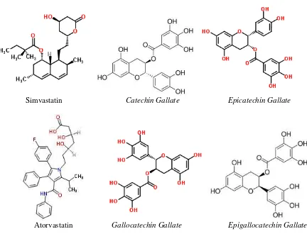 Gambar 2. Struktur molekul simvastatin, atorvastatin, catechin gallate, epicatechin 