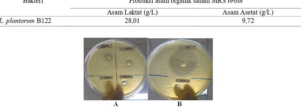 Tabel 2. Kadar Asam Organik yang dihasilkan L. plantarum B122BakteriProduksi asam organik dalam MRS