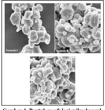 Gambar 1. Bentuk morfologi mikrokapsul