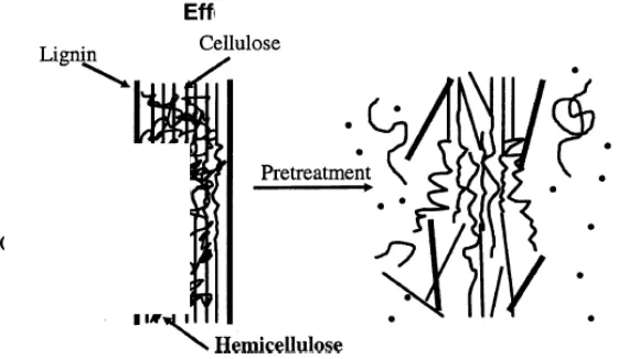 Gambar 2.3 Struktur Hemiselulosa [28] 
