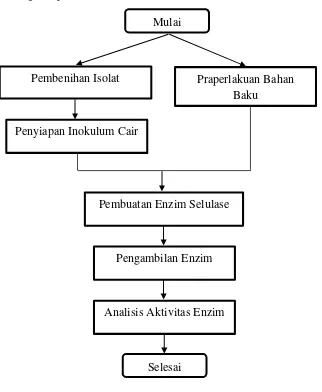 Gambar 3.1 Diagram Alir Produksi Enzim Selulase 