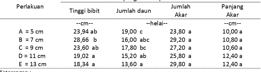 Tabel 2. Rata-rata tinggi bibit, jumlah daun, jumlah akar, dan panjang akar pada  umur 12 MST Rata-rata pengamatan pada umur bibit 12 MST  