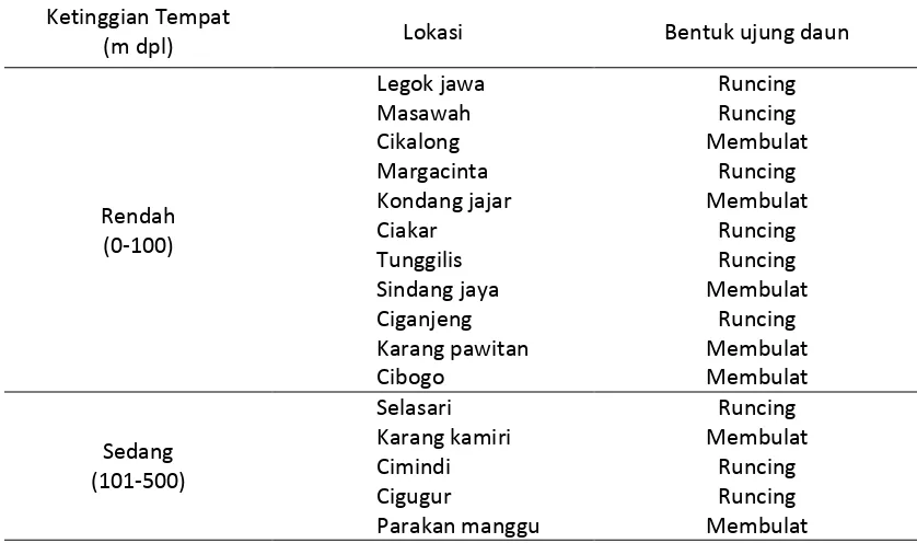 Tabel 2. Bentuk Ujung Daun Tanaman Genjer (Limnocharis flava) Dari 16 Tempat Eksplorasi 