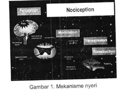 Gambar  1' Mekanisme  nYeri