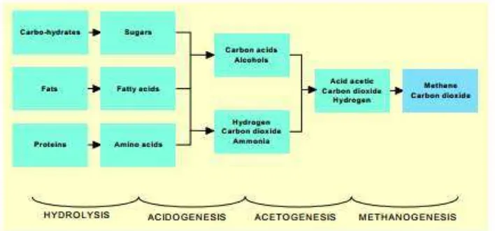 Gambar 2.1 Empat Fase Pembuatan Biogas Secara Garis Besar [14] 