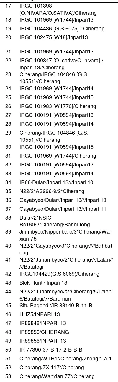 Tabel 1. Pedigree materi genetik 